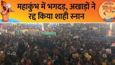 Stampede in Prayagraj Mahakumbh: 14 killed, more than 50 injured; Entry of devotees stopped