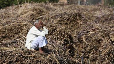 Young farmer buried under debt commits suicide